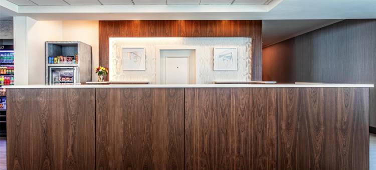 坦帕西北奥尔兹马希尔顿花园酒店(Hilton Garden Inn Tampa Northwest/Oldsmar)图片