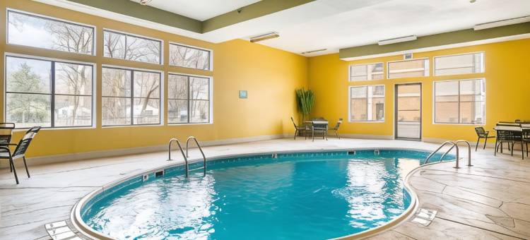 品质酒店及套房哈维(Quality Inn & Suites Near I-80 and I-294)图片