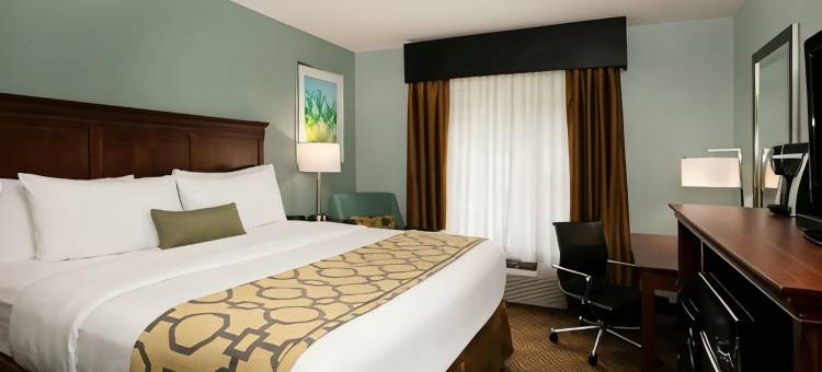 布拉塞尔顿温德姆呗盟酒店(Baymont by Wyndham Braselton / Winder)图片