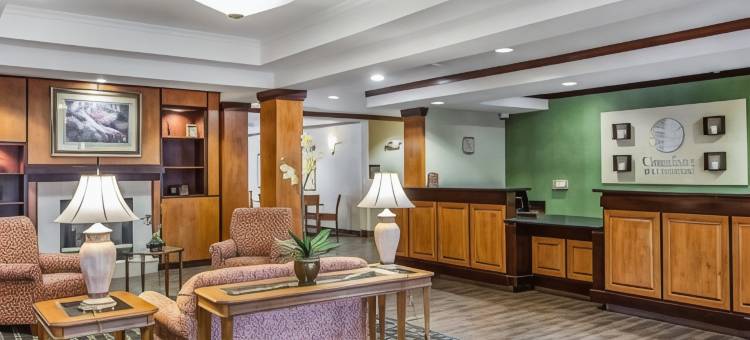 卡姆登舒适酒店及套房(Comfort Inn & Suites)图片