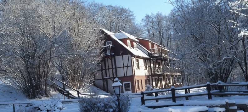 博腾密尔酒店(Hotel Boltenmühle)图片