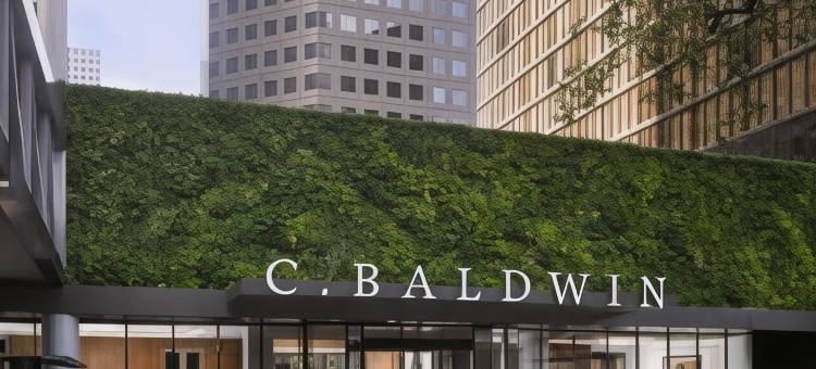 C.鲍德温希尔顿格芮精选酒店(C. Baldwin, Curio Collection by Hilton)图片