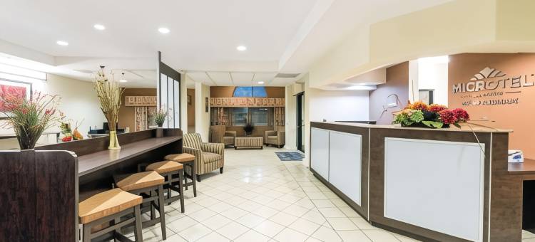 伊格尔帕斯麦客达套房酒店(Microtel Inn & Suites by Wyndham Eagle Pass)图片