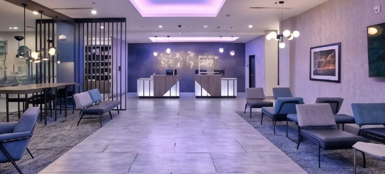 達拉斯费尔帕克温德姆拉昆塔套房酒店(La Quinta Inn & Suites by Wyndham Dallas/Fairpark)图片