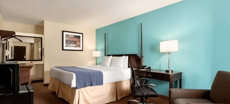 佛罗伦萨温德姆呗盟酒店(Baymont by Wyndham Florence)图片