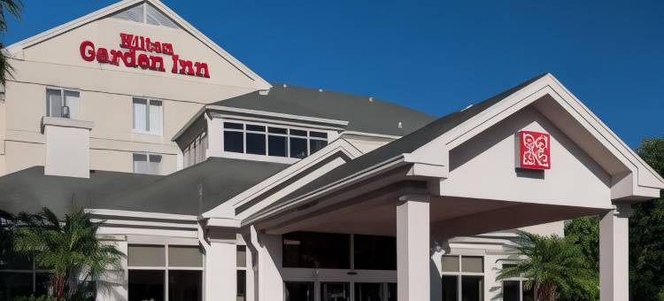 迈克艾伦机场希尔顿花园酒店(Hilton Garden Inn McAllen Airport)图片