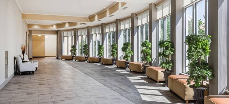 希尔顿花园酒店 大福克斯 - 北达科他大学(Hilton Garden Inn Grand Forks-Und)图片