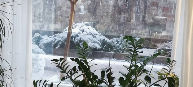 国际酒店(Hotel Internazionale Luino)图片