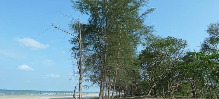 Tgather Fun Getaway @ Kuantan Sepat Beach 4 BR 16 Pax图片