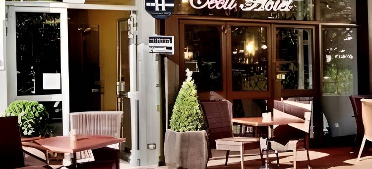科里布里酒店(Hotel le Colibri)图片