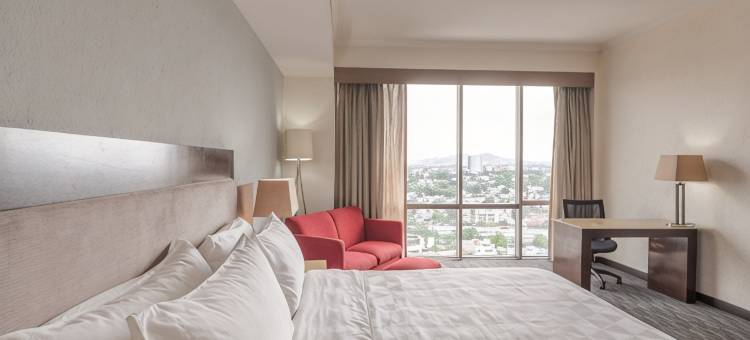 Holiday Inn 瓜达拉哈拉(Holiday Inn GUADALAJARA SELECT by IHG)图片