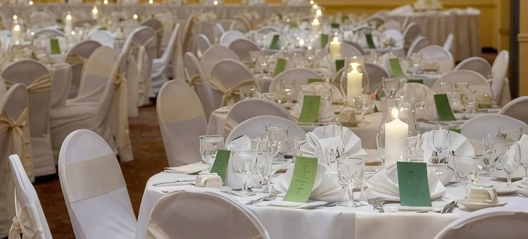 布卢明顿城堡酒店及会议中心(The Chateau Bloomington Hotel and Conference Center)图片