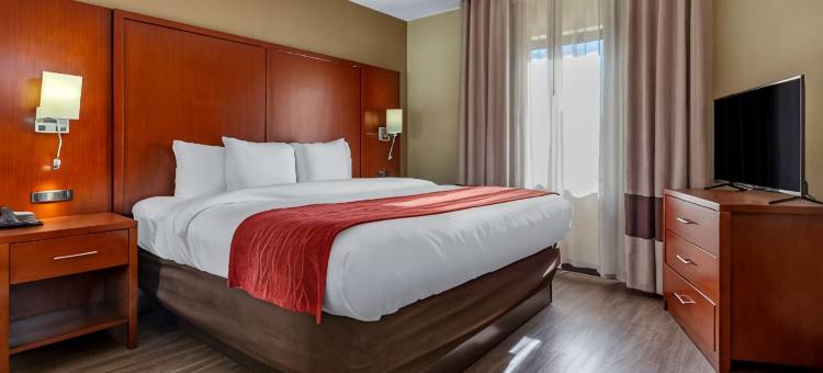 福特米尔舒适酒店 卡罗温兹大道游乐园(Comfort Inn Fort Mill Amusement Park at Carowinds Blvd)图片