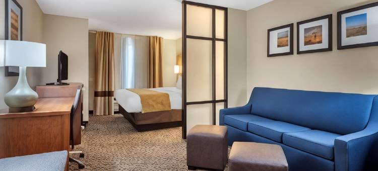 舒适套房酒店-曼哈顿(Comfort Suites Manhattan)图片