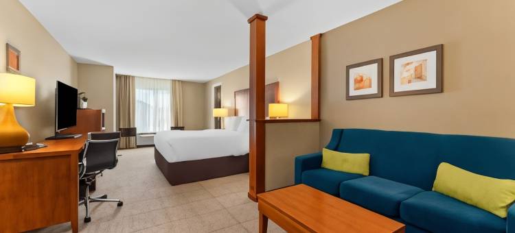 阿维拉西南舒适套房酒店(Comfort Inn & Suites Avera Southwest)图片