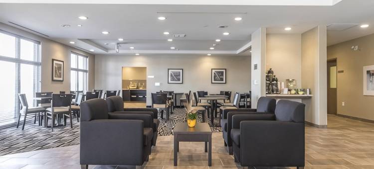 凯艺套房酒店(Quality Inn & Suites Kingston)图片
