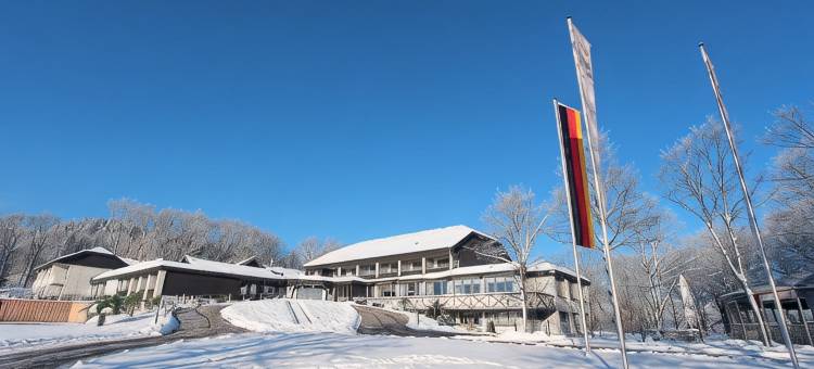 迪尔贝格会议和健康酒店(Hotel Diehlberg)图片