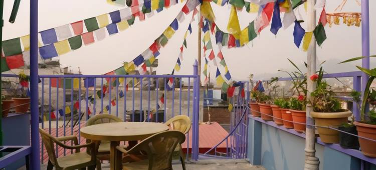 加德满都家庭旅馆(Kathmandu Homestay)图片
