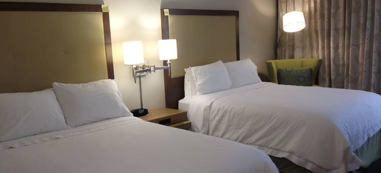 欢朋坦帕洛基泊因酒店(Hampton Inn Tampa-Airport/Rocky Point)图片