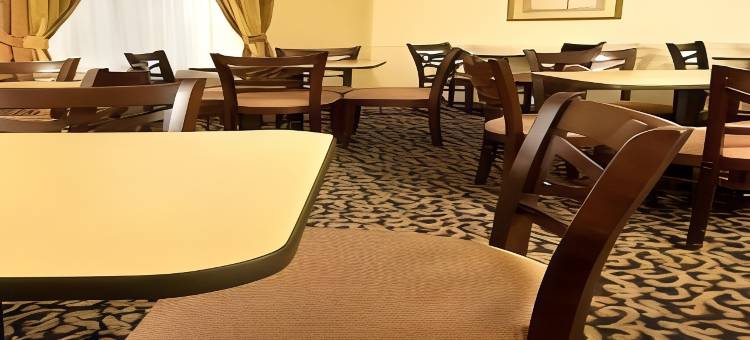 莱克查尔斯萨尔弗万枫套房酒店(Fairfield Inn & Suites Lake Charles Sulphur)图片