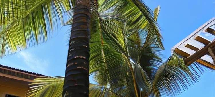 椰汁旅馆(Pousada Água de Côco)图片