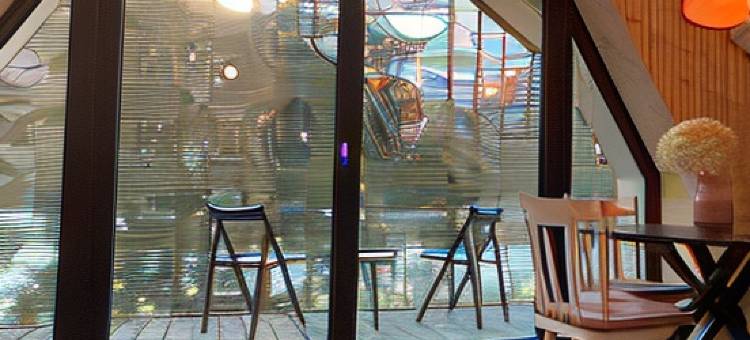 松树节日房屋(Pine Tree Holiday House)图片