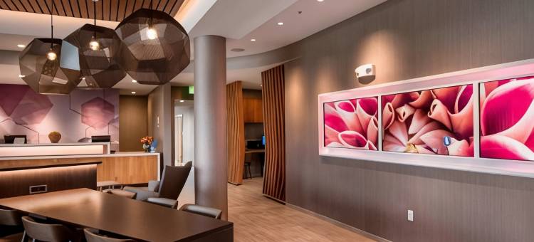 卡利斯佩尔SpringHill Suites酒店(SpringHill Suites Kalispell)图片