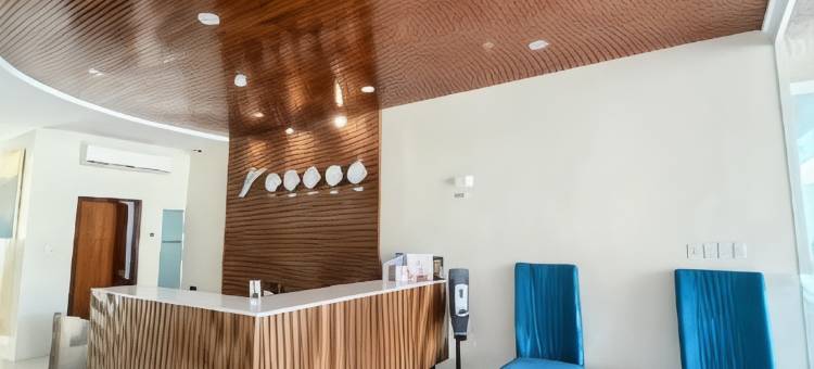 瓦尼亚德酒店(Vanyard Hotel)图片