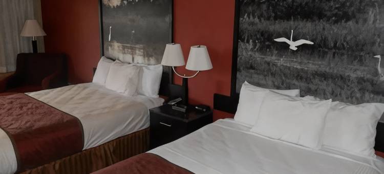 AmeriStay旅馆(AmeriStay Inn St Joseph)图片