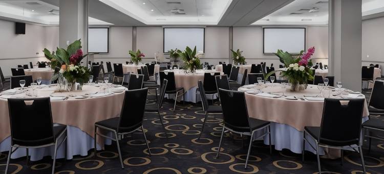 帕拉马塔雷吉斯酒店(Rydges Parramatta an EVT hotel)图片