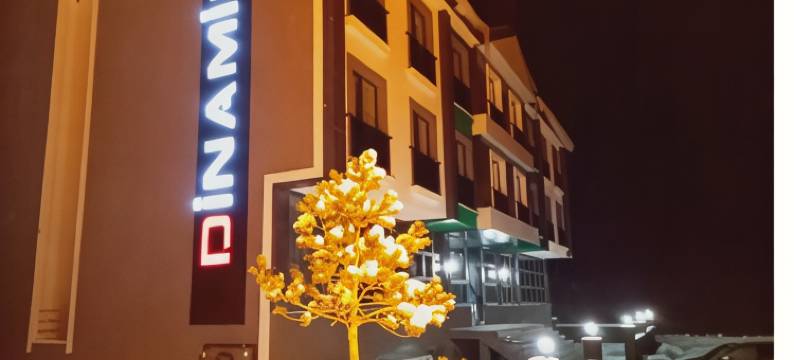 动力酒店(Dinamik Otel Sarıkamış)图片