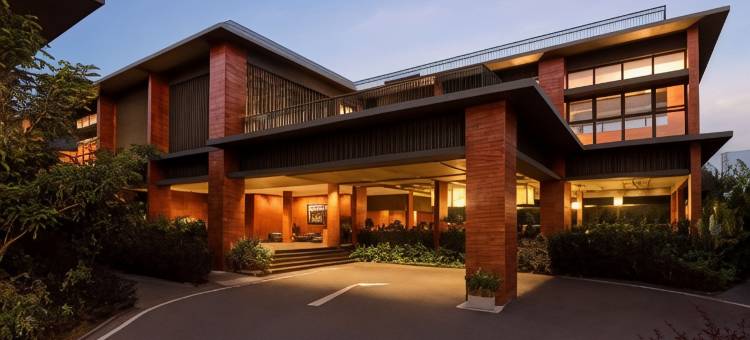 Morickap Lords 83图片