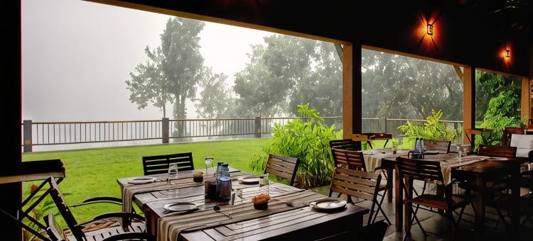 热带雨林度假村(Rainforest)图片