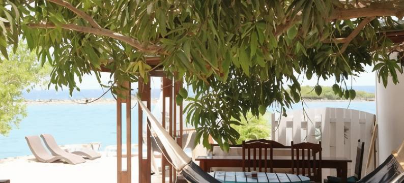 珊瑚礁海滩酒店(Coral Reef Beach)图片