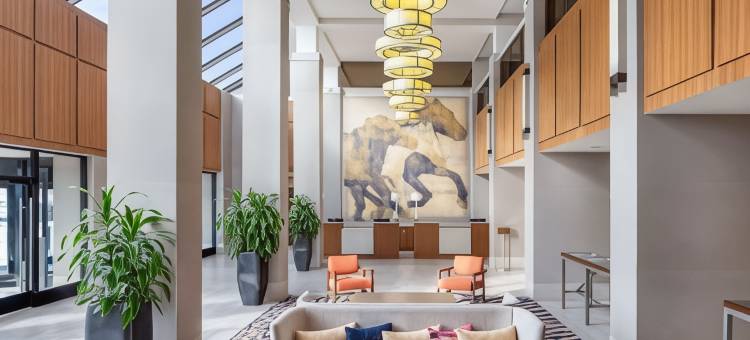 阿林顿希尔顿酒店(Hilton Arlington)图片