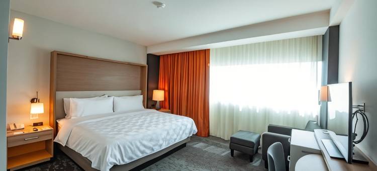 梅尼达拉伊斯拉假日套房酒店(Holiday Inn & Suites Merida la Isla)图片