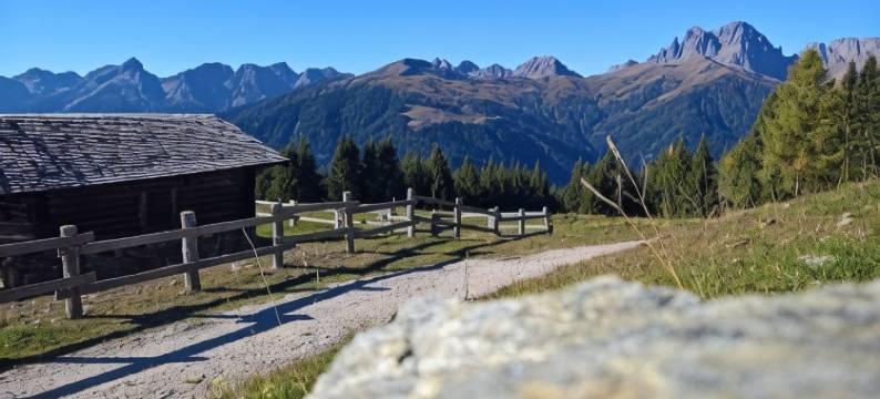 塞雷内拉酒店(Hotel Serenella)图片