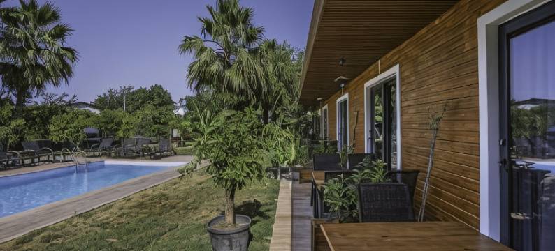 泰拉花园酒店(Terra Garden Hotel)图片