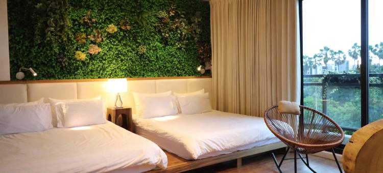 颂谦文旅 梅花鹿同住图片