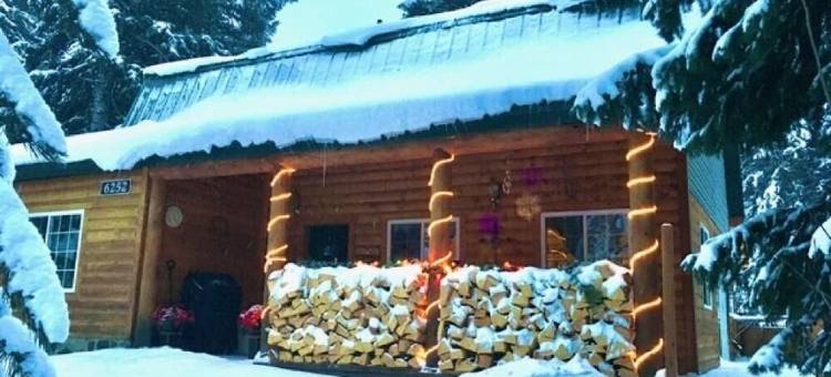 索利图德/布赖顿5分钟、阿尔塔/雪鸟/帕克城/鹿谷45-60分钟的小屋(Cabin 5min to Solitude/Brighton 45-60min to Alta/Snowbird/ParkCity/DeerValley)图片