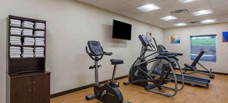 舒适酒店及套房(Comfort Inn & Suites)图片