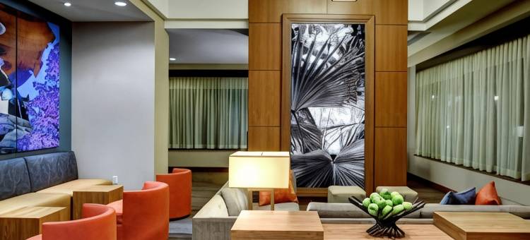 哥伦比亚/市中心/The Vista 凯悦嘉轩酒店(Hyatt Place Columbia Downtown)图片