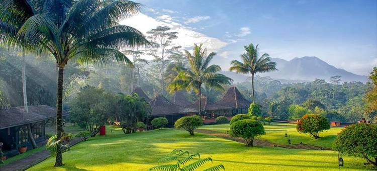 梅萨斯蒂拉水疗度假村(MesaStila Resort and Spa)图片