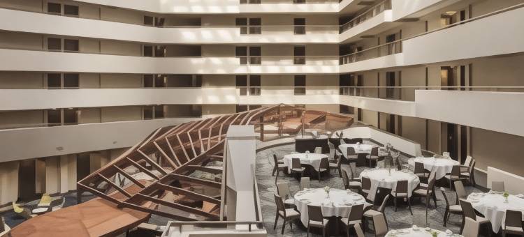 费城机场喜来登套房酒店(Sheraton Suites Philadelphia Airport)图片