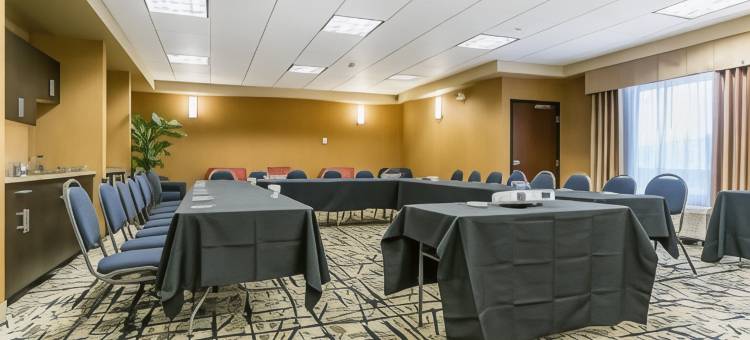 舒适套房酒店-埃德蒙顿国际机场(Comfort Inn & Suites Edmonton International Airport)图片