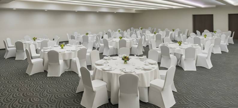 塞拉亚里尔旅馆(Real Inn Celaya)图片