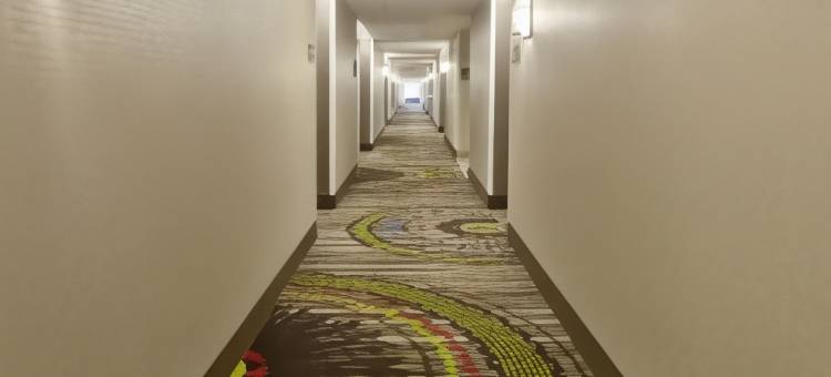 希尔顿欢朋套房酒店-纳什维尔士麦那(Hampton Inn & Suites Nashville-Smyrna)图片