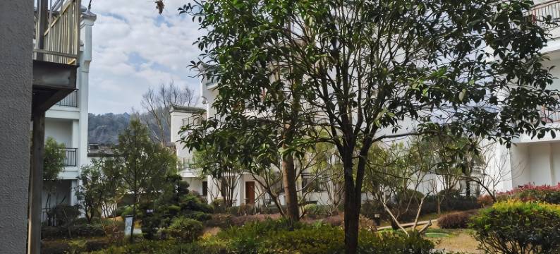 思缘小居民宿(台小线分店)图片