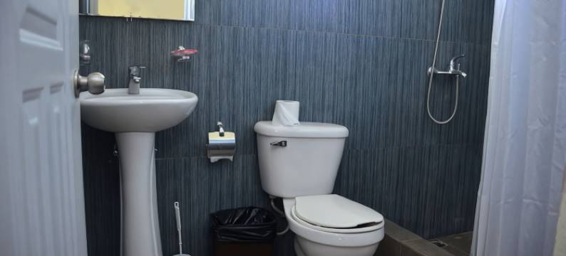 Great Palm View - Apartment 3 in Villa Coconut图片