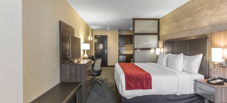 舒适酒店及套房-机场北(Comfort Inn & Suites Airport North)图片